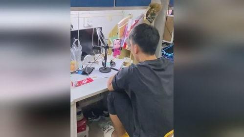 宿舍吃瓜闹鬼视频大全集,揭秘吃瓜闹鬼视频大全集