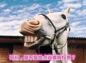 马吃瓜搞笑视频下载免费,免费下载，欢乐无限