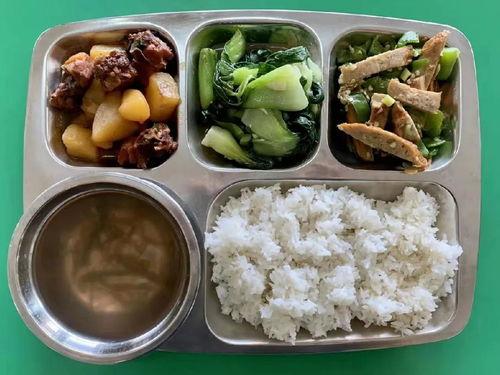 浙江校园吃瓜事件视频,一场网络热议的校园风波揭秘