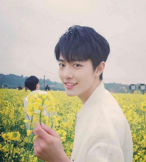 肖战吃呆瓜视频大全集下载,笑料横生,欢乐无限