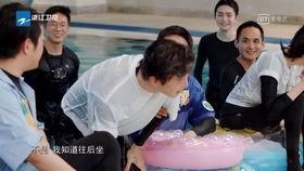 吃瓜的代价视频,一场网络舆论的风暴与反思