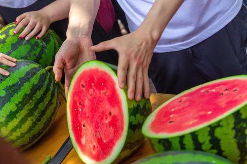 张家口学校吃瓜事件视频,校园食品安全问题引发关注