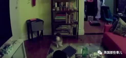 宿舍吃瓜闹鬼视频大全,揭秘吃瓜闹鬼视频背后的神秘事件