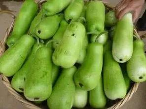 小孩吃葫芦瓜的视频播放,小朋友的欢乐食光