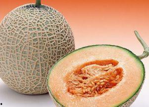 丑女吃哈密瓜视频大全,趣味视频大盘点