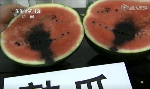 泰国防疫吃瓜视频,吃瓜视频揭示防疫生活百态