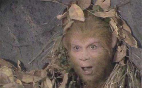 悟空吃瓜事件真相视频,揭秘背后真相与网络舆论风暴