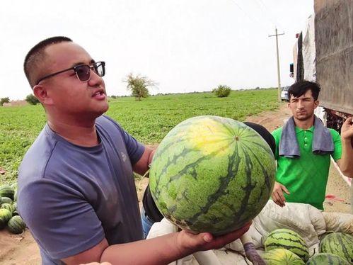 温江吃瓜新闻视频最新,揭秘当地热门事件背后的真相