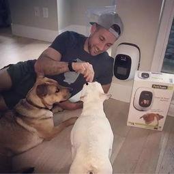 宠物狗可以吃瓠瓜吗视频,瓠瓜的食用指南