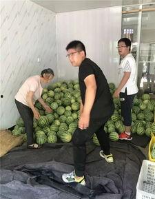 常州湖塘吃瓜事件视频最新