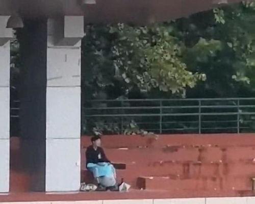 张家口学校吃瓜事件视频,校园食品安全问题引发关注