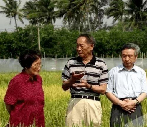 南山院士吃瓜事件视频,揭秘科研界幕后趣闻