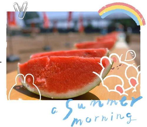 贵州大型吃瓜现场视频,全民围观的热闹一幕