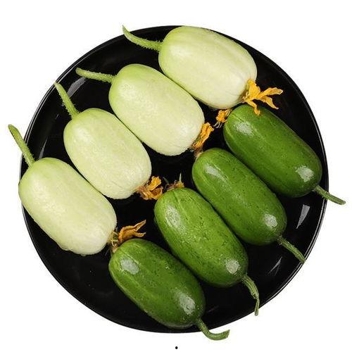 药瓜怎么吃最好吃视频