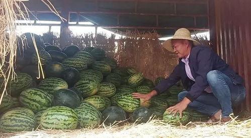 昆明本地吃瓜事件视频曝光,一场引发热议的街头冲突