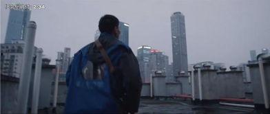 围观吃瓜打架视频,围观吃瓜打架视频引发热议