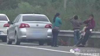 看灯猜车吃瓜群众视频,吃瓜群众欢乐多