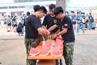 临泉吃瓜群众事件视频,一场网络舆论的风暴与反思