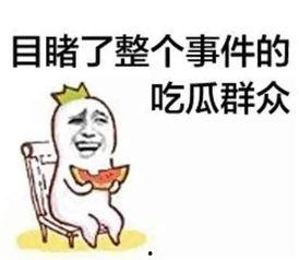 豆姐吃瓜群众视频大全集,揭秘娱乐圈幕后故事大全集