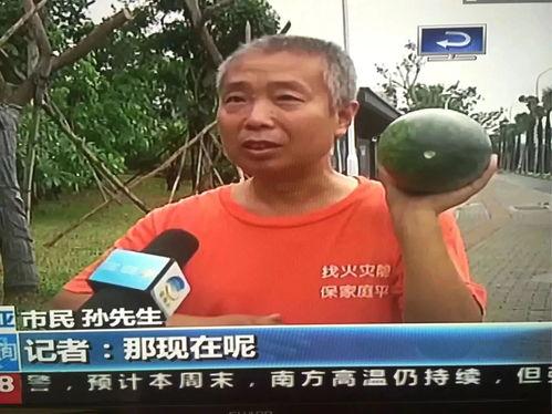 热点事件今日吃瓜视频