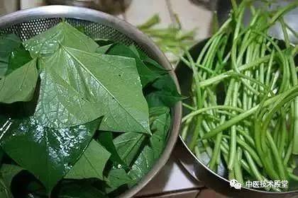 薯叶加细瓜可以吃吗视频,家常菜视频教你如何烹饪