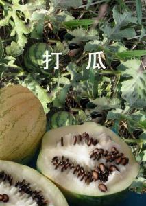 吃瓜神器劲爆打瓜视频,揭秘娱乐圈幕后真相