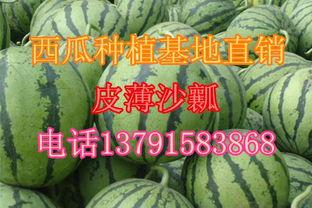 吃瓜的视频第一期,揭秘娱乐圈幕后故事